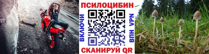 Галлюциногенные грибы мицелий  Азнакаево 